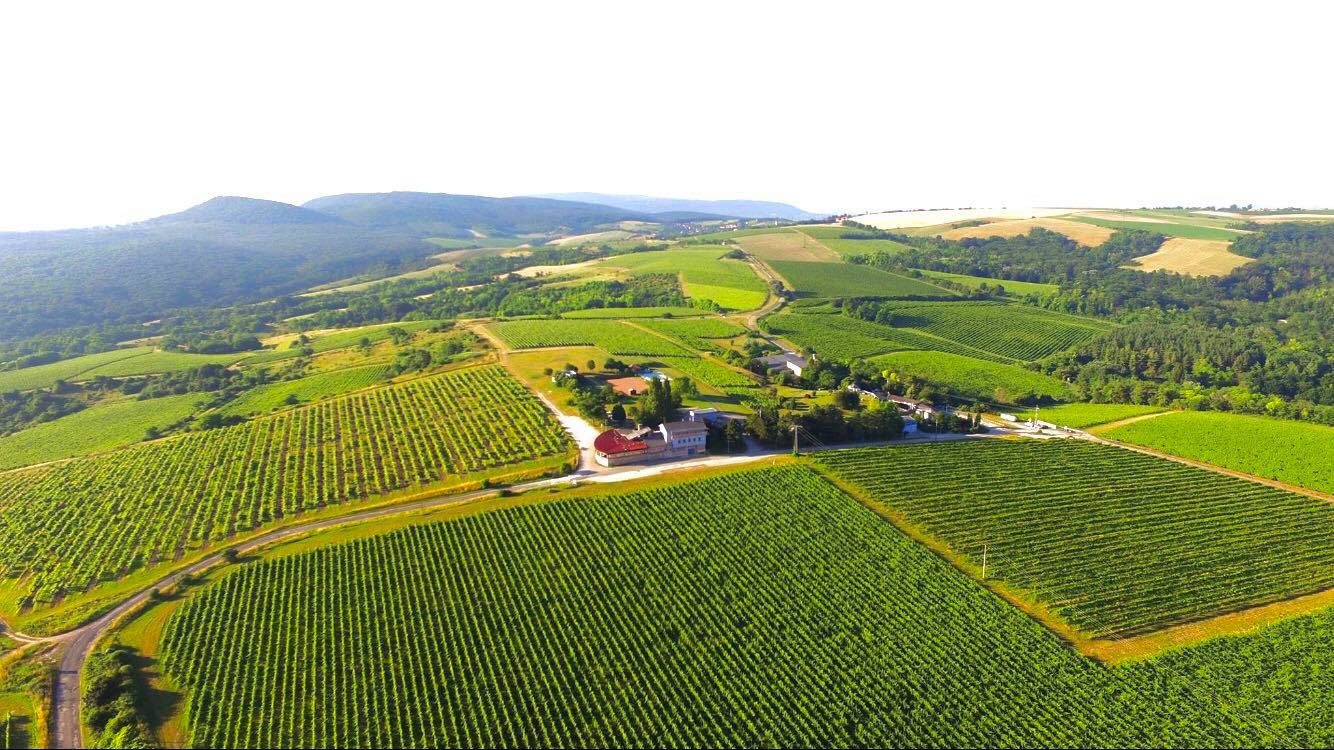 Hilltop Borbirtok és Étterem